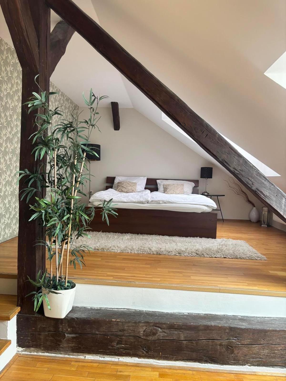 Prague City Loft And Studio — Fotky 2